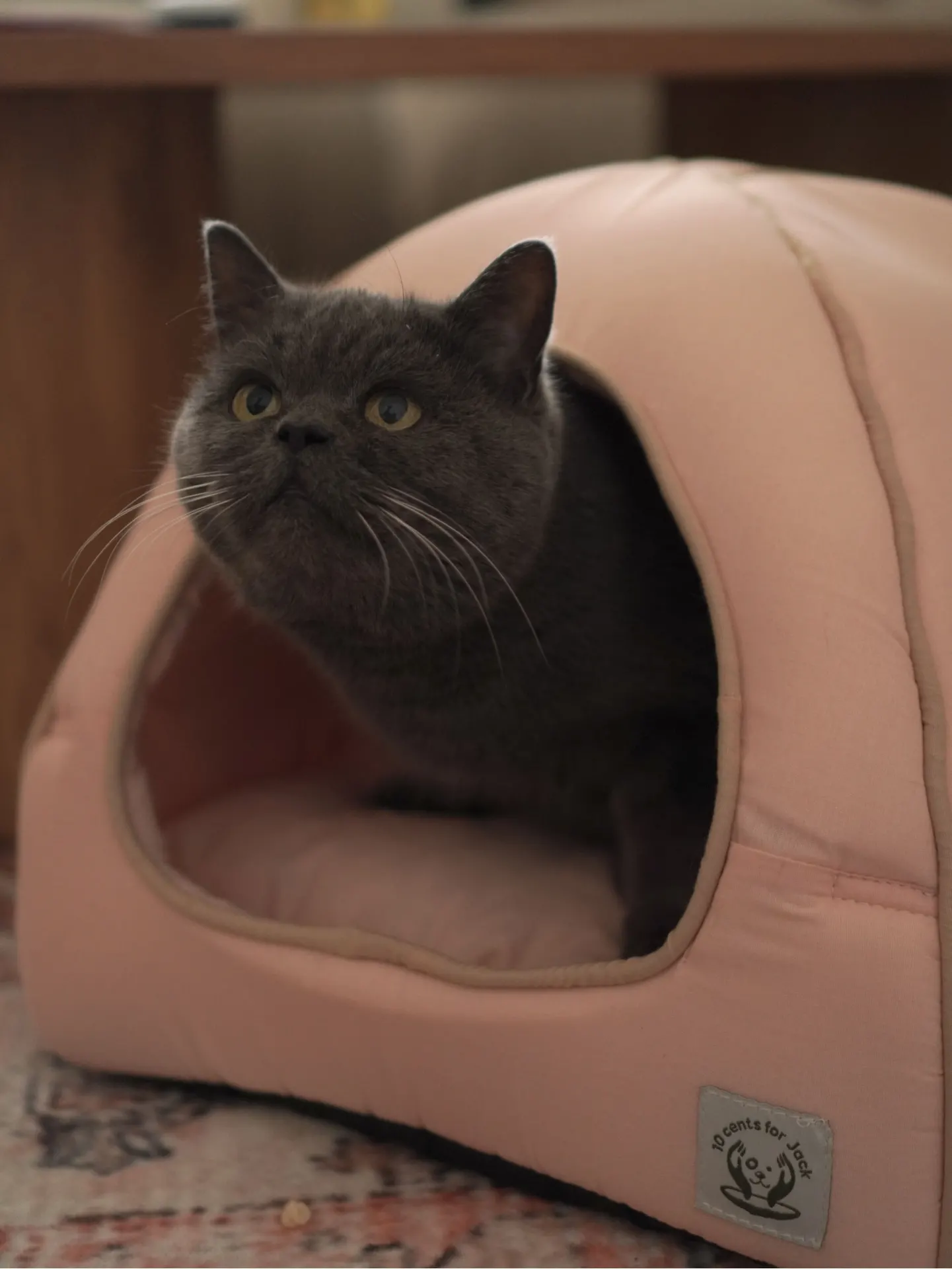 Будиночок-лежак для котів від Джека Вігвам, бежевий
