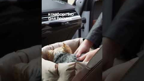 Автокрісло 3 в 1 бежеве